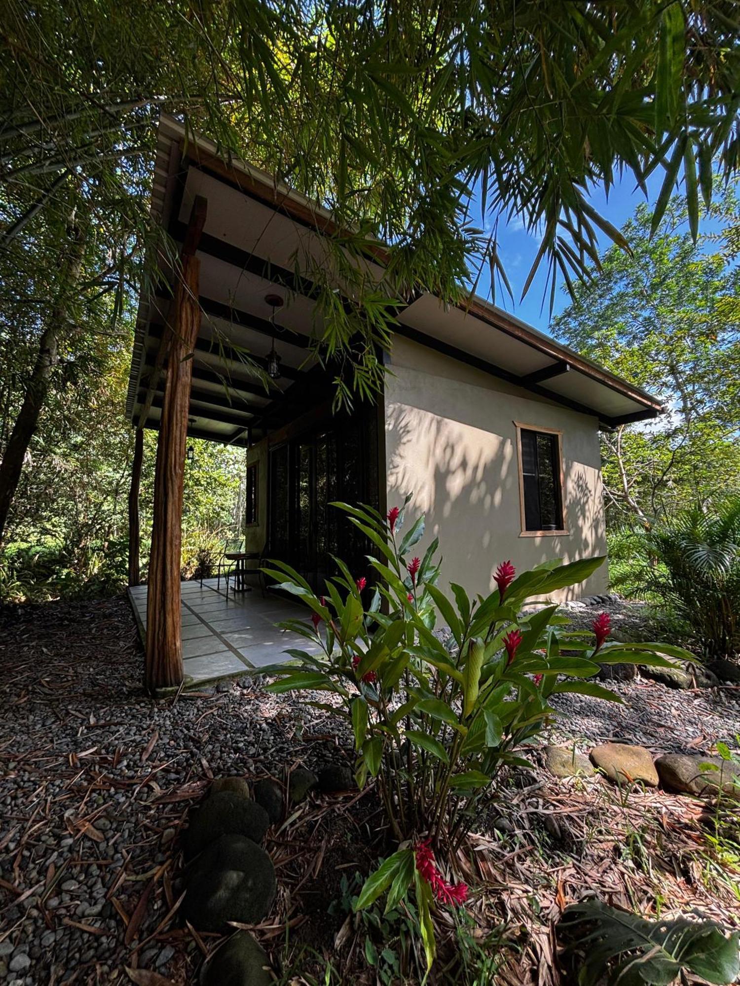 Bamboo River Lodge Horquetas Bagian luar foto