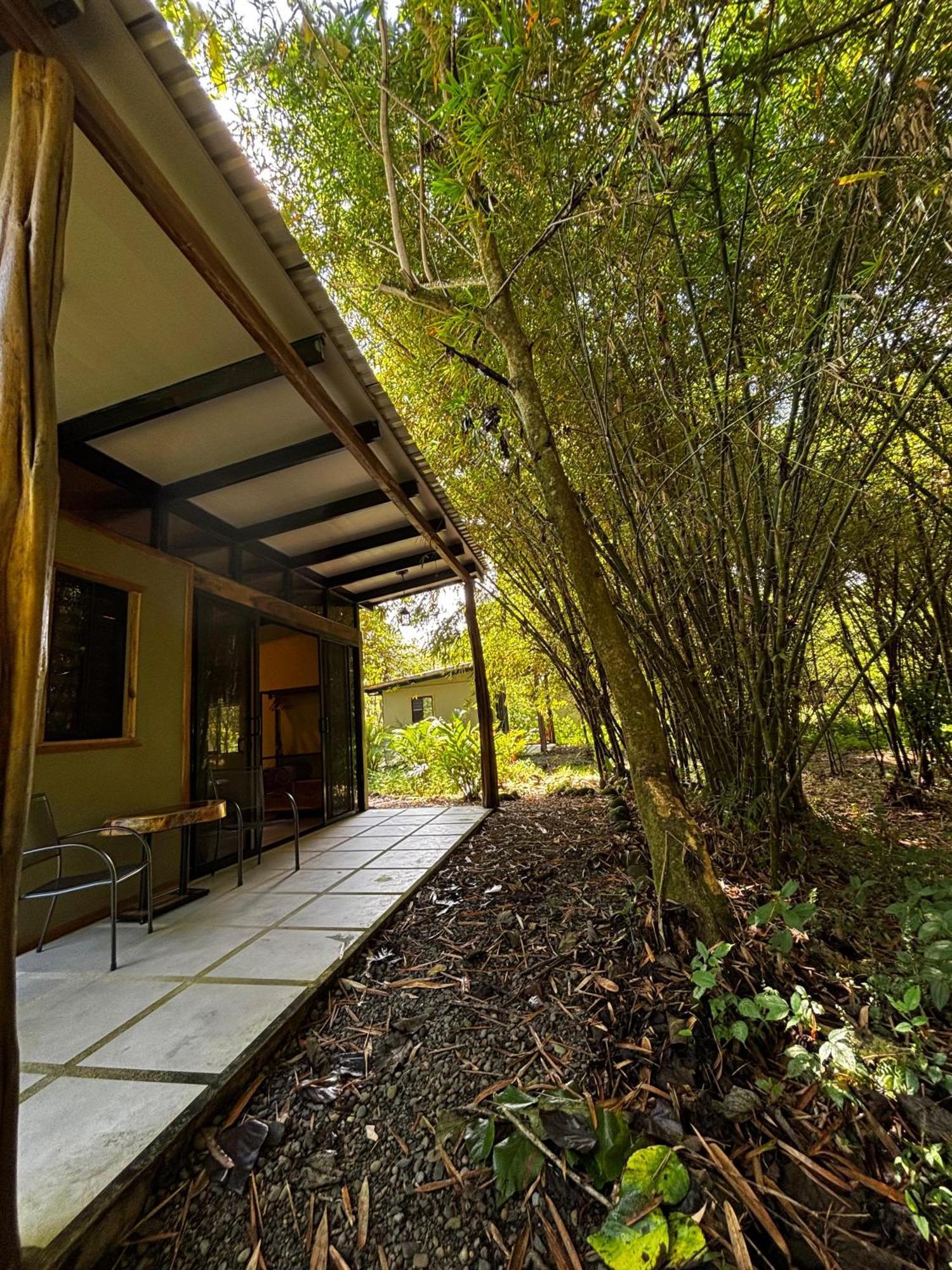 Bamboo River Lodge Horquetas Bagian luar foto
